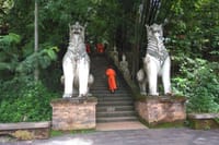 3-Hour Hike round trip Monk Trail to Wat Doi Suthep from Chiang Mai 8