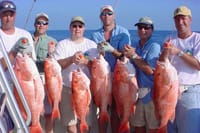 Fishing &amp; Snorkeling By Speed Boat Tour (Semi Private) - Hurghada