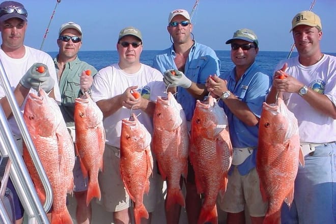 Fishing &amp; Snorkeling By Speed Boat Tour (Semi Private) - Hurghada