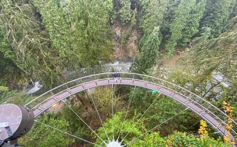 Private 6-Hour Tour of Vancouver and North Vancouver Highlights