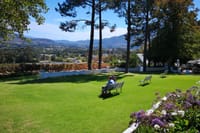 View from the restaurant of a lovely vineyard in Franschhoek