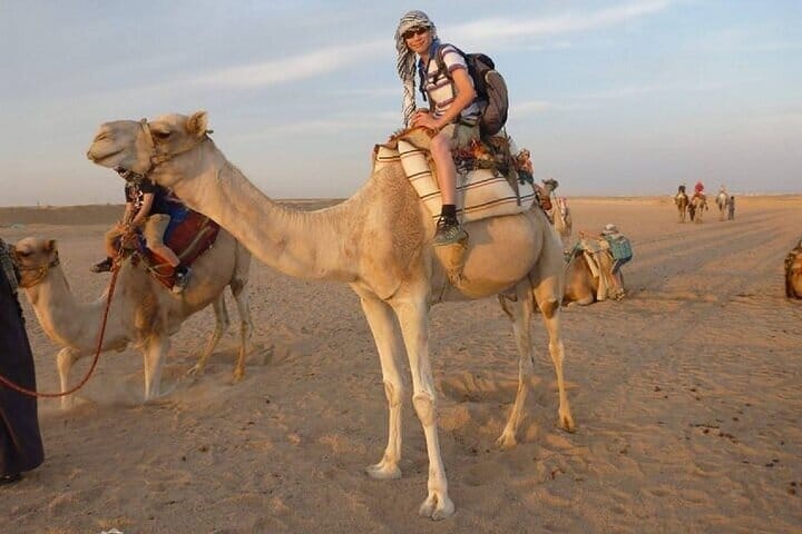 3 Hours ATV Quad &amp; Camel Riding With Transfer - Sharm El Sheikh