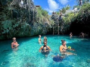 Zanzibar Prison Island, Jozani Forest and Sea Turtles Tour