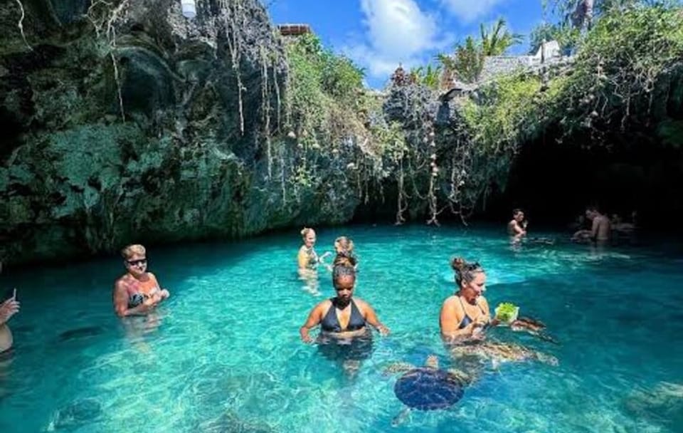 Zanzibar Prison Island, Jozani Forest and Salaam Cave Sea Turtles