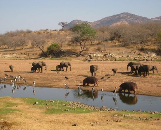 4-Day Mount Meru Trekking Adventure