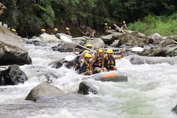 Rafting Adventure on the Ayung River in Ubud, Bali with Lunch