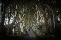 Dublin: Giants Causeway and Bushmills Distillery Whiskey Tasting Including Belfast 7