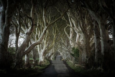 Dublin: Giants Causeway and Titanic Distillers with a Whiskey tasting 7