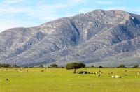 Cape Town, Kruger and Garden Route, Self-Drive 1