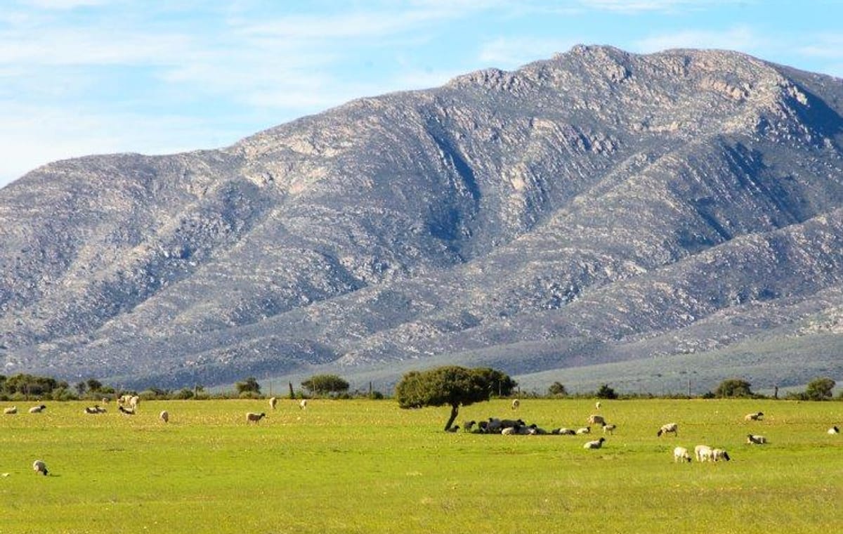 Cape Town, Kruger and Garden Route