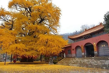 Luoyang Longmen Grottoes and Shaolin Temple Day Tour from Xi'an