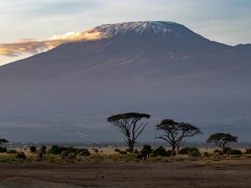 Backdrop view of Mt.Kilimanjaro.