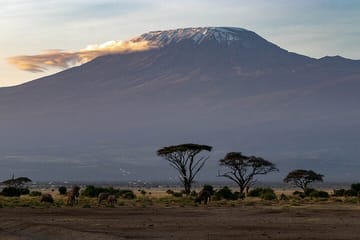 3-Day Luxury Safari in Amboseli National Park from Nairobi