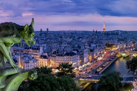 Private Paris Night City Tour with Seine River Cruise and Hotel Pickup by Minivan