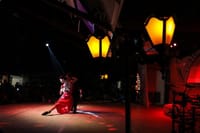 Foz: Private Guide & Transfer to Shared Dinner Show Experience 8