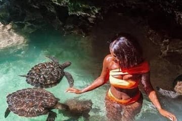 Zanzibar Salaam Cave Swimming and Feeding Sea Turtle in Kizimkazi