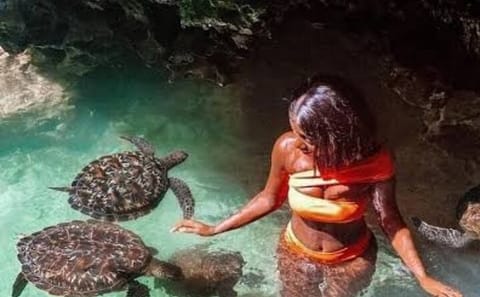 Cave Swimming and Sea Turtle Feeding in Kizimkazi, Tanzania