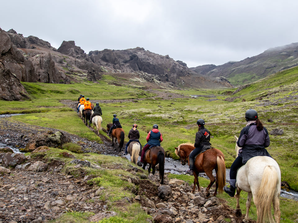 06C - The Valley of Horses - Marardalur — Eldhestar