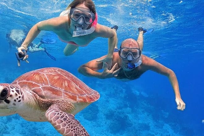 Private 4-Hour Speedboat Tour in the Read Sea from Hurghada