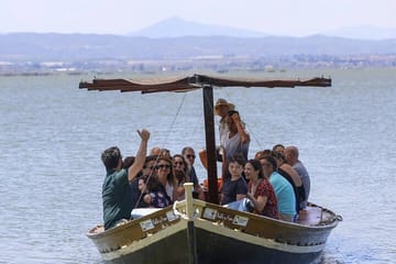 Albufera Boat Tour and Paella Meal from Valencia