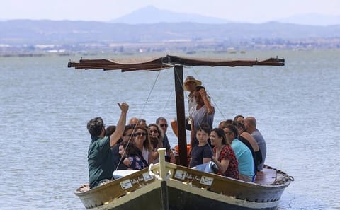 Albufera Boat Tour and Paella Meal from Valencia
