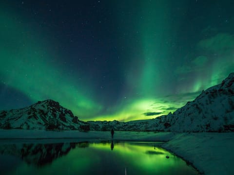 Private Northern Lights Hunt & Star Gazing, photo 3