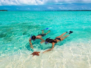 Negril Beach Snorkeling and Boat Ride with Bob Marley Museum Visit