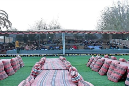 Evening Desert Safari with, Dune Bashing, Camel Ride, sand board