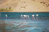 Agadir Jeep Safari & Sahara Adventure – Full-Day Tour with Tajine 2