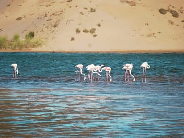 Agadir Jeep Safari and Sahara Adventure Full-Day Tour