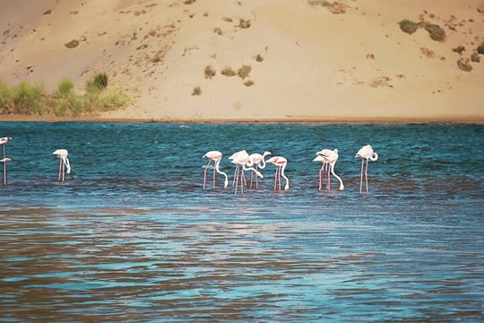 Agadir Jeep Safari & Sahara Adventure – Full-Day Tour with Tajine