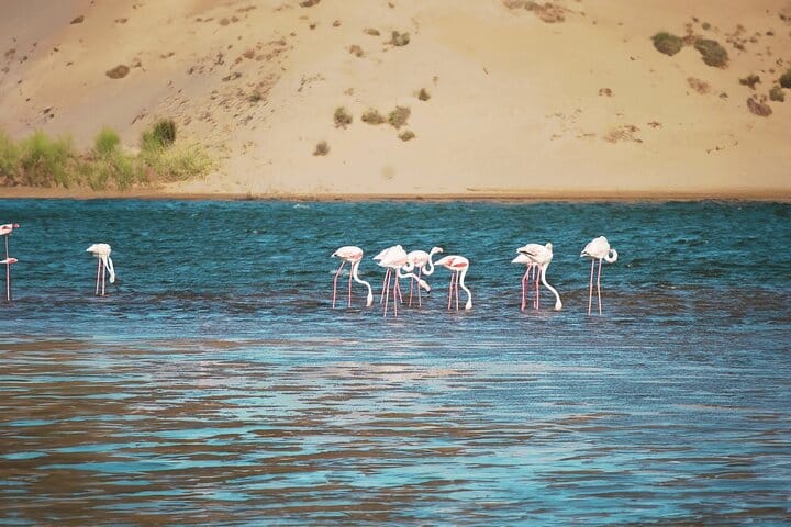 Agadir Jeep Safari & Sahara Adventure – Full-Day Tour with Tajine 2