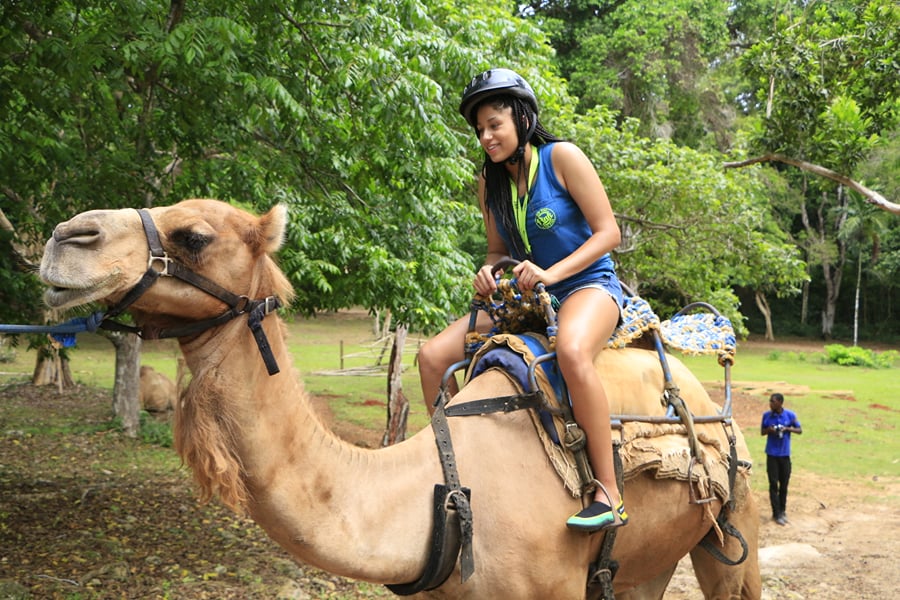 Things to do in Jamaica