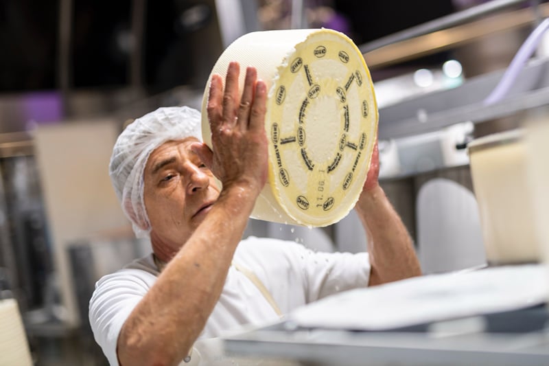 O queijeiro com uma roda de Appenzeller, curada numa salmoura de ervas de receita secreta.