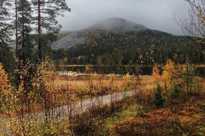 Guided tour to Pyhä-Luosto National park