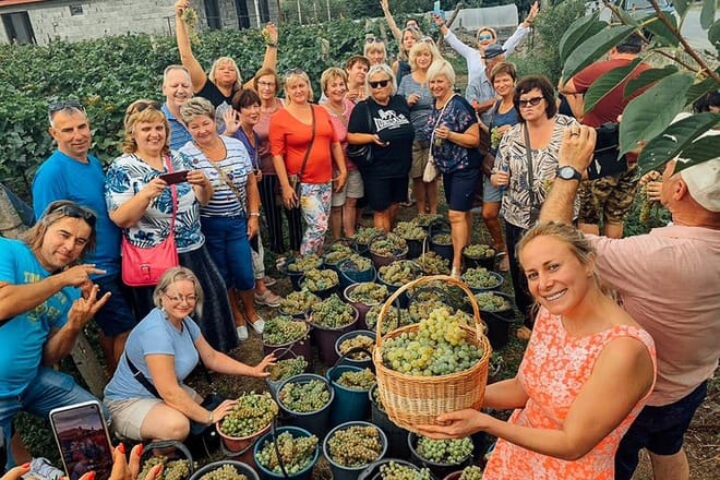 Private Full-Day Vintage Grape Harvest Festival with Lunch 5