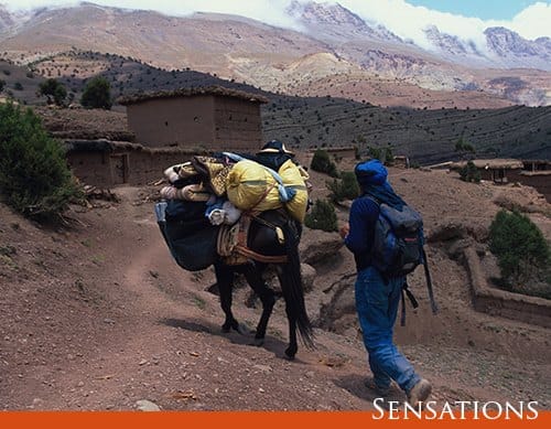 Real Morocco – Upscale & VIP | 1 Day : Private & Luxury 10