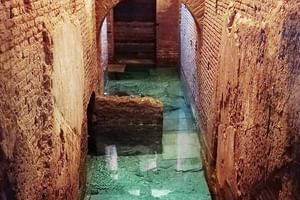 Trevi Fountain and Pantheon Guided Tours max 12 person 