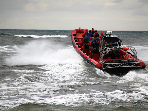 Ultimate Whale Watching Adventure on a RIB Speedboat in Reykjavík Bay, Iceland, photo 9