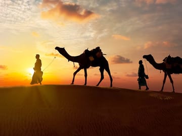 abu dhabi camel ride