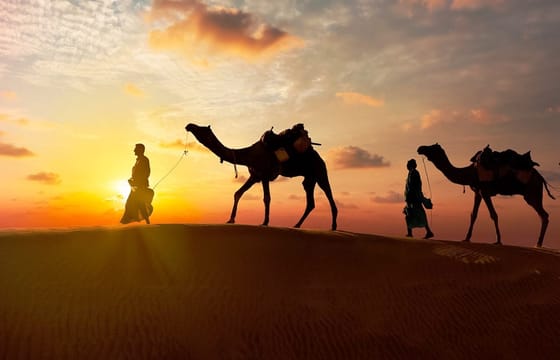 An Evening Desert Safari with Dinner and Live Entertainment