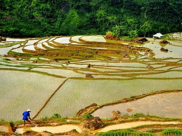 Offbeat Trekking Tour: Pu Luong Nature Reserve 2 days from Hano