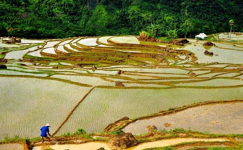 Offbeat Trekking Tour: Pu Luong Nature Reserve 2 days from Hanoi