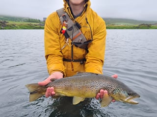 Fishing Day Tour From Akureyri, Husavik or Myvatn, photo 16