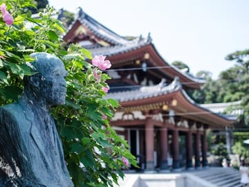 From Tokyo Kamakura and Enoshima Private Day Tour