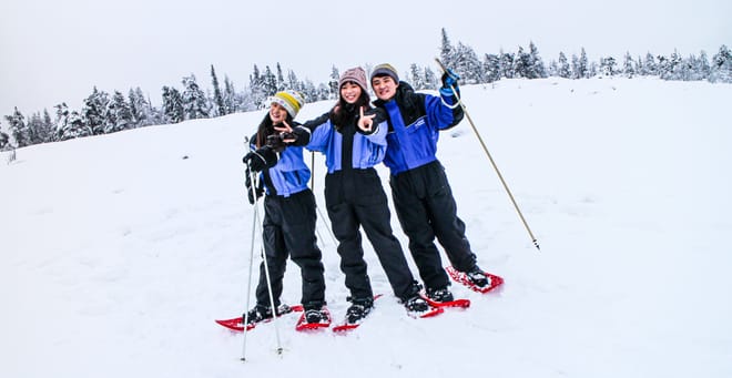 Snowshoe Trip for Searching Arctic Animals and Wilderness Views - Kemi photo 3
