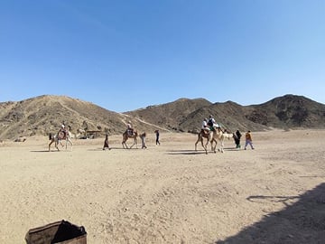 Hurghada Safari ATV, Buggy, Camel Ride, Dinner And Show