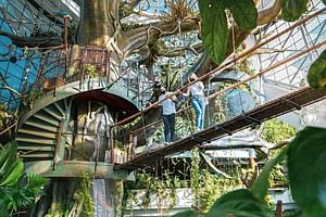 The Green Planet Dubai Tickets with Transfers 