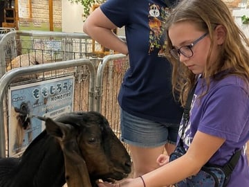 Personalized Tokyo Kid-Friendly Tour: Animals, Arcade & More