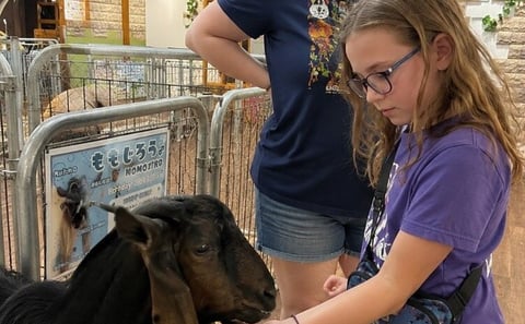 Personalized Tokyo Kid-Friendly Tour: Animals, Arcade & More
